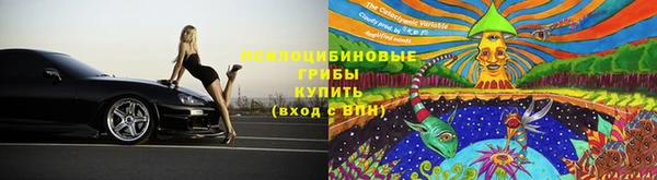 гашик Баксан