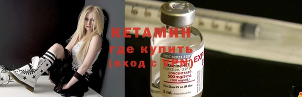 шишки Слюдянка
