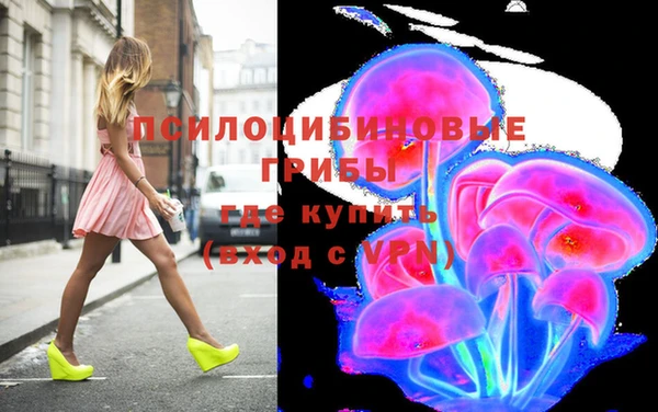 гашик Баксан