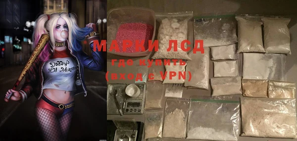 шишки Слюдянка