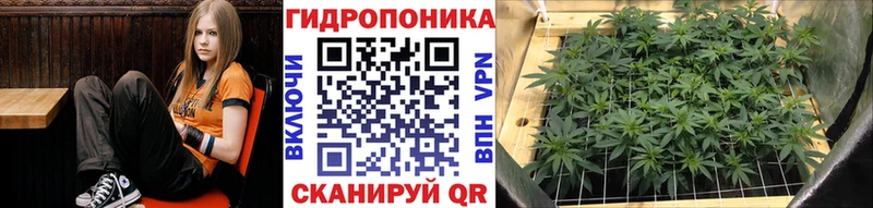 Бошки марихуана THC 21%  omg ТОР  Нижний Ломов 